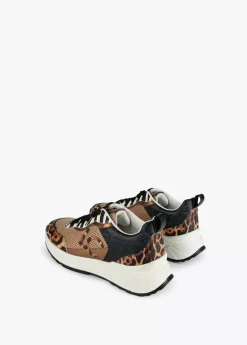 Sneakers animal print rejilla |  COLECCIÓN LOLA | Lola Casademunt